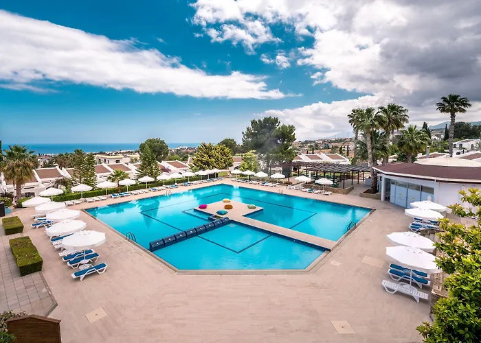 Otel The Olive Tree 4*