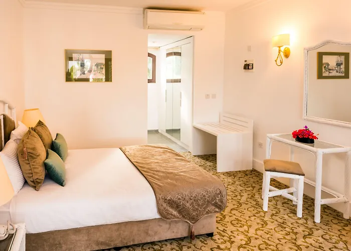 The Olive Tree Hotel 4*