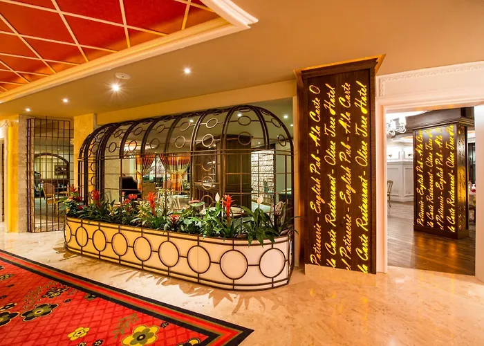 ジ オリーブ ツリー