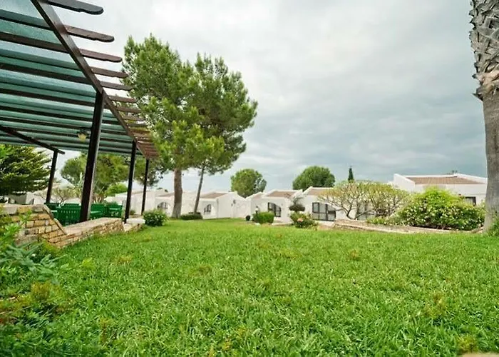 The Olive Tree Hotel