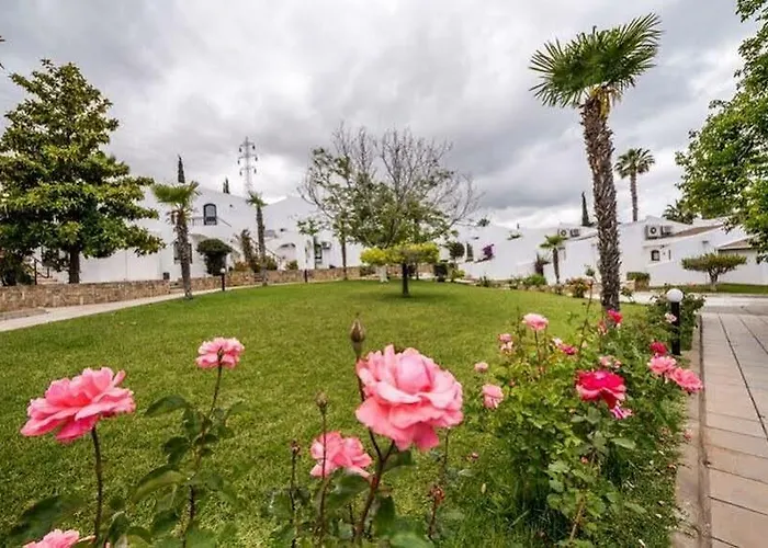 The Olive Tree Hotel Agios Epiktitos