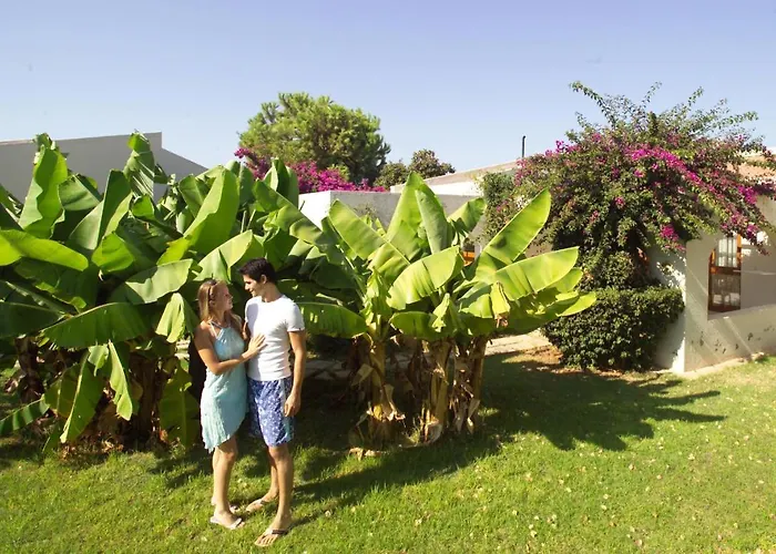 Otel The Olive Tree Agios Epiktitos