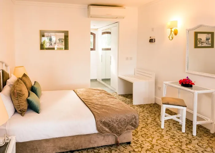 ジ オリーブ ツリー Ayios Epiktitos