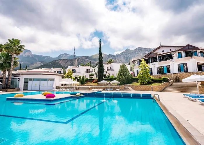 ジ オリーブ ツリー Ayios Epiktitos