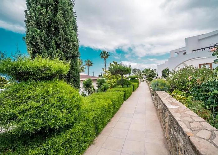 The Olive Tree Hotel 4*