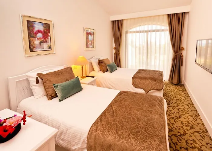 Hotel The Olive Tree